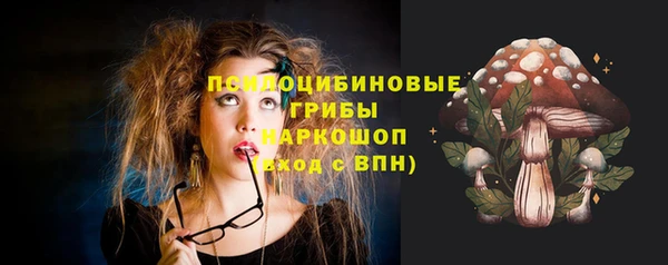 PSILOCYBIN Касимов