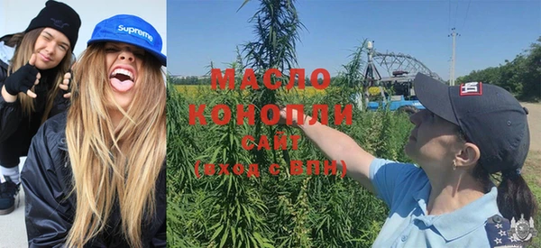 дмт Козельск