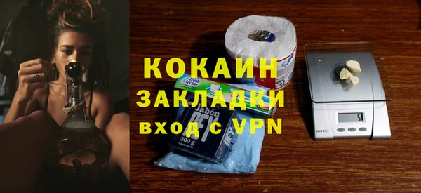 дмт Козельск