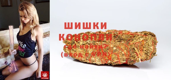 дмт Козельск