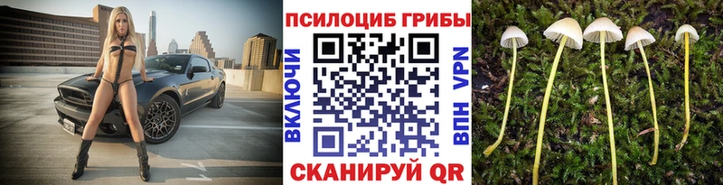 Псилоцибиновые грибы MAGIC MUSHROOMS kraken как зайти Малая Вишера